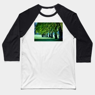 Sunlit Treeline Baseball T-Shirt